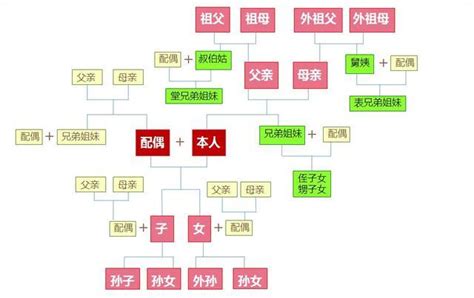 叔公算幾等親|血親之親系及親等圖 五等親